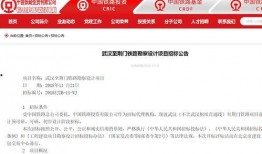 武汉市李先生最新爆料,揭秘武汉某神秘事件真相